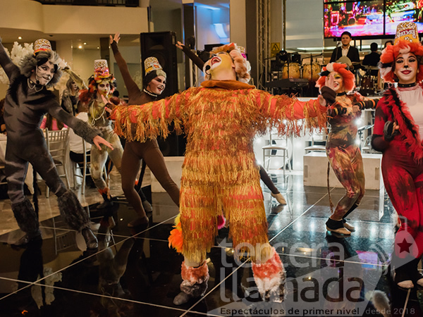 Show Cats en evento social